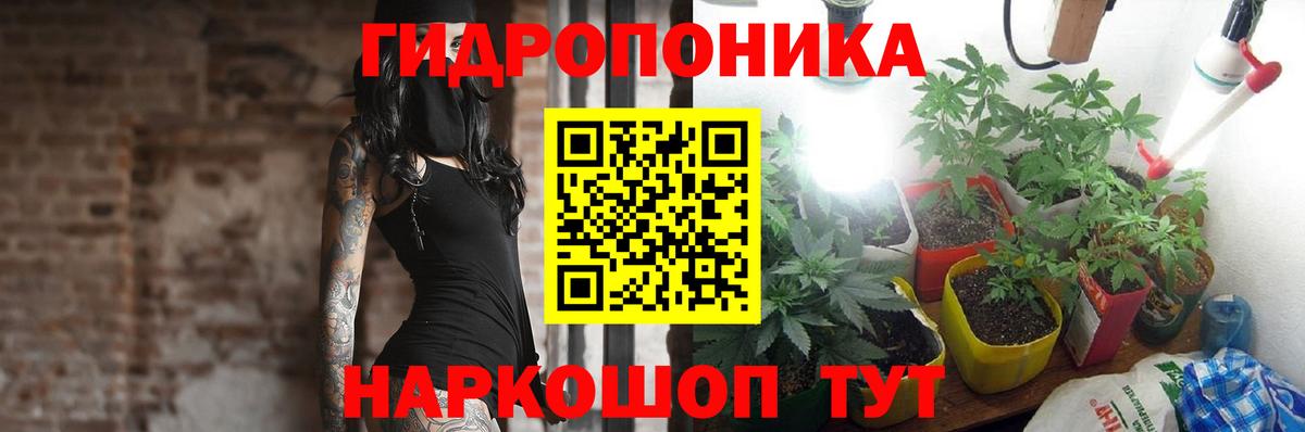 Каннабис семена  Бошки марихуана THC 21%  Каннабис MAZAR  Бошки марихуана индика  Вход с VPN  Аргун 
